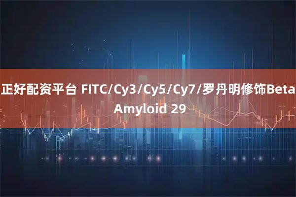 正好配资平台 FITC/Cy3/Cy5/Cy7/罗丹明修饰Beta Amyloid 29
